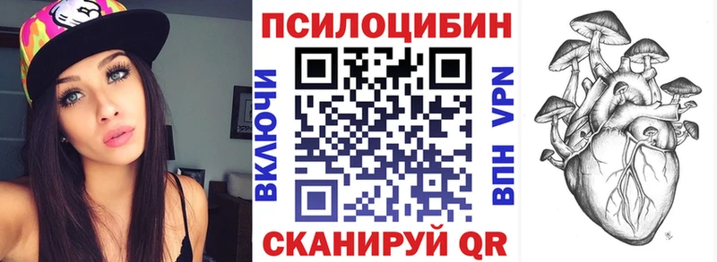 Псилоцибиновые грибы Psilocybine cubensis  Суздаль 
